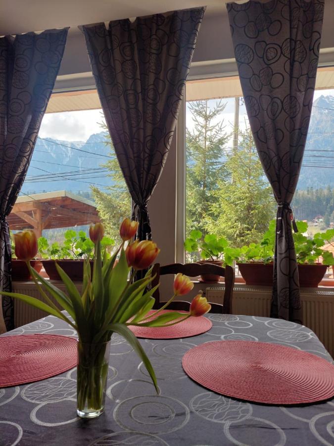 Mountain View Apartamento Buşteni Exterior foto