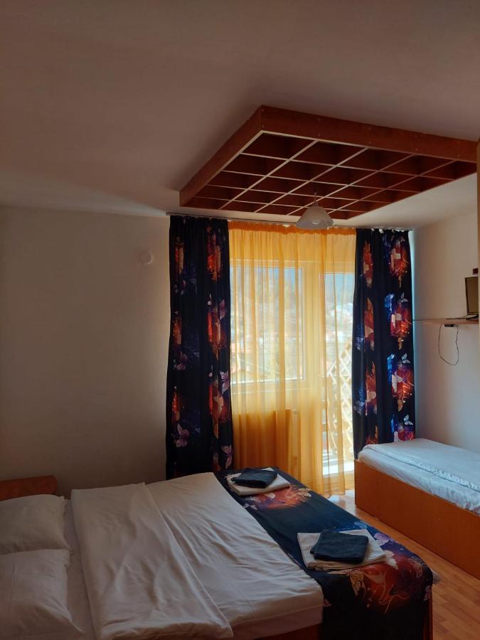 Mountain View Apartamento Buşteni Exterior foto